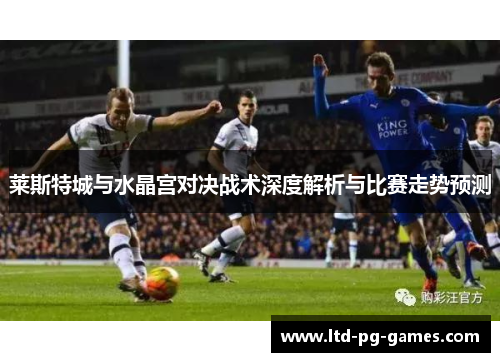 莱斯特城与水晶宫对决战术深度解析与比赛走势预测